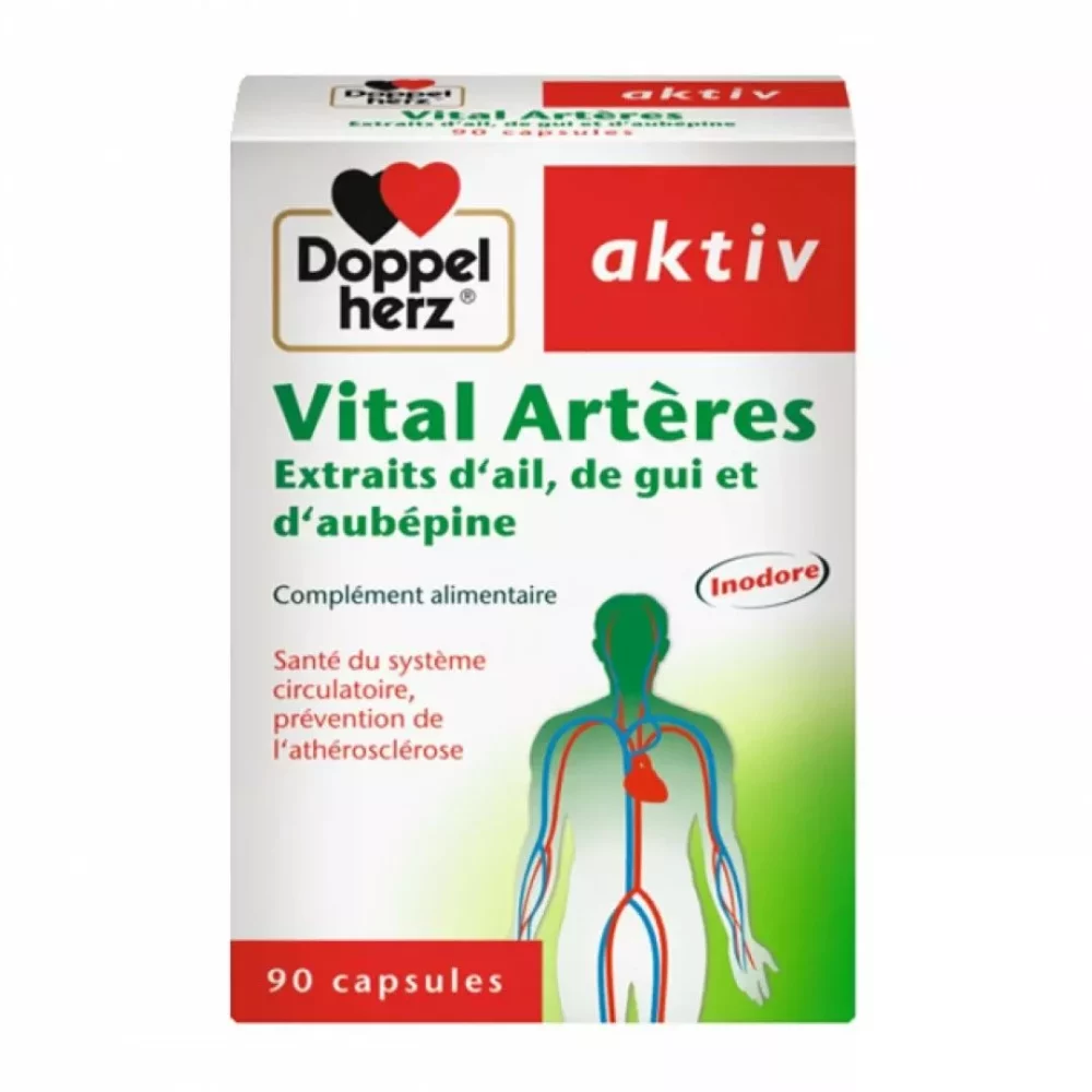 AKTIV VITAL ARTERES 90 GELULES (1)