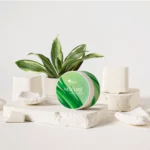 aloe
