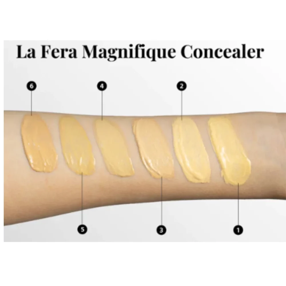 palette concealer