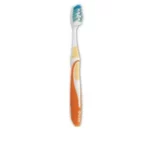 brosse gum