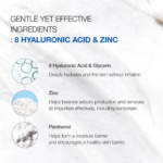 Anua 8 Hyaluronic Acid Hydrating Gentle Foaming Cleanser